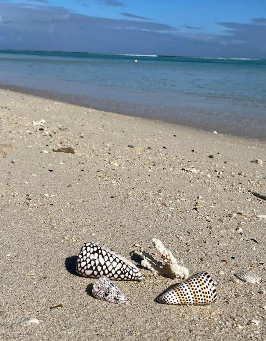 Villa La Playa Pieds Dans L'Eau Lagon + Piscine 圣吉尔莱班 外观 照片